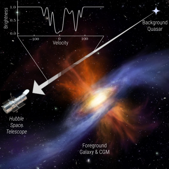 Quasar absorption line
				    technique